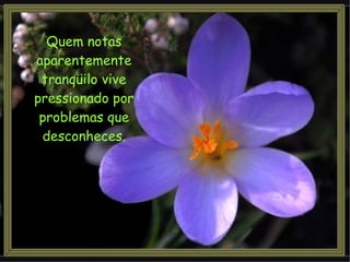 Quem notas aparentemente tranqüilo vive pressionado por problemas que desconheces. 