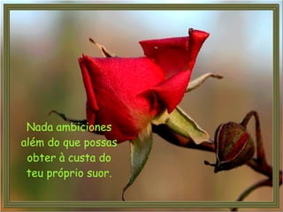 Nada ambiciones além do que possas obter à custa do teu próprio suor.