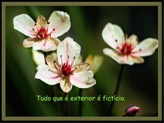 Tudo que é exterior é fictício. 