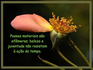 Posses materiais são efêmeras; beleza e juventude não resistem à ação do tempo. 