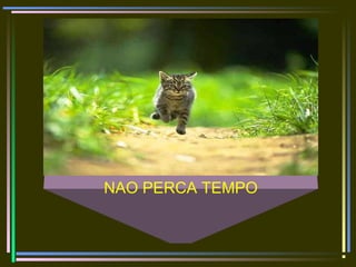 NAO PERCA TEMPO
 