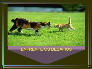 ENFRENTE OS DESAFIOS
 