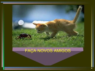 FAÇA NOVOS AMIGOS
 