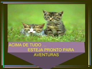 ACIMA DE TUDO …
ESTEJA PRONTO PARA
AVENTURAS
 