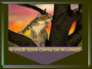 E VOCÊ SERÁ CAPAZ DE IR LONGE
 