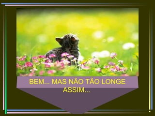 BEM... MAS NÃO TÃO LONGE
ASSIM...
 