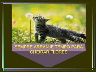 SEMPRE ARRANJE TEMPO PARA
CHEIRAR FLORES
 