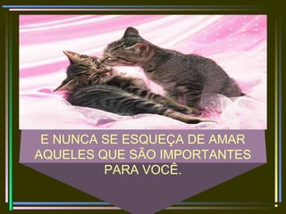 E NUNCA SE ESQUEÇA DE AMAR
AQUELES QUE SÃO IMPORTANTES
PARA VOCÊ.
 