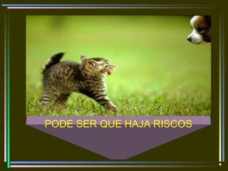 PODE SER QUE HAJA RISCOS
 