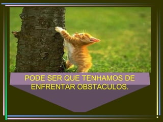 PODE SER QUE TENHAMOS DE
ENFRENTAR OBSTACULOS.
 