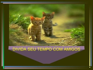 DIVIDA SEU TEMPO COM AMIGOS
 