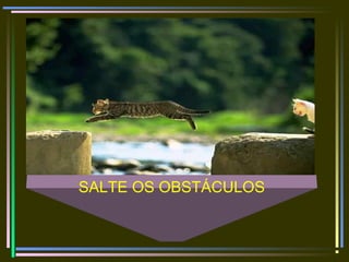 SALTE OS OBSTÁCULOS
 