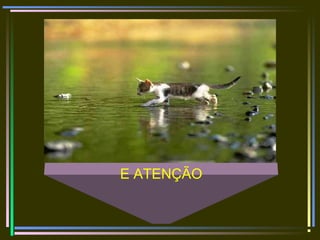 E ATENÇÃO
 