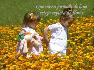 Que nossa jornada de hoje  esteja repleta de flores. 