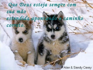Que Deus esteja sempre com sua mão estendida apontando o caminho correto. 