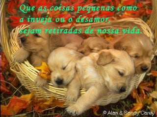 Que as coisas pequenas como  a inveja ou o desamor,  sejam retiradas de nossa vida. 