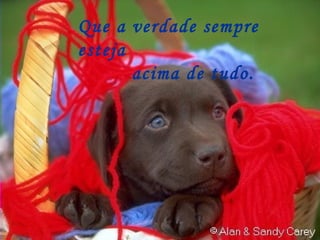 Que a verdade sempre esteja acima de tudo. 