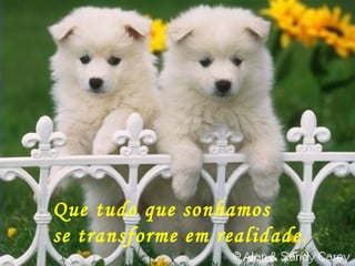 Que tudo que sonhamos se transforme em realidade. 