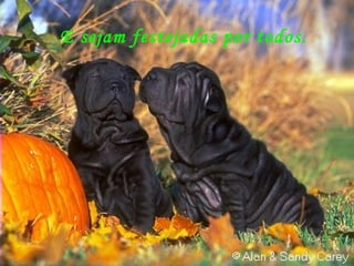 E sejam festejadas por todos. 