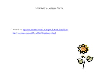PROCEDIMENTOS METODOLÓGICOS:




• Utilizar os site http://www.planetabio.com/%C3%B3rg%C3%A3os%20vegetais.swf

• http://www.youtube.com/watch?v=zst08tm9s6M&feature=related
 