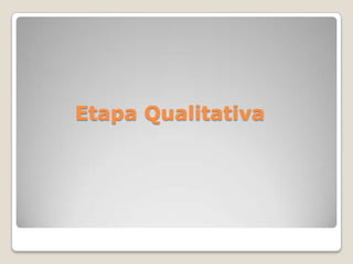Etapa Qualitativa