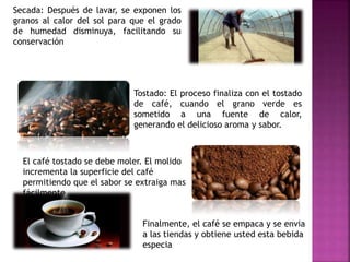 Secada: Después de lavar, se exponen los
granos al calor del sol para que el grado
de humedad disminuya, facilitando su
conservación
Tostado: El proceso finaliza con el tostado
de café, cuando el grano verde es
sometido a una fuente de calor,
generando el delicioso aroma y sabor.
El café tostado se debe moler. El molido
incrementa la superficie del café
permitiendo que el sabor se extraiga mas
fácilmente
Finalmente, el café se empaca y se envia
a las tiendas y obtiene usted esta bebida
especia
 