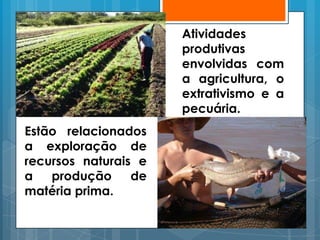 Atividades
                      produtivas
                      envolvidas com
                      a agricultura, o
                      extrativismo e a
                      pecuária.
Estão relacionados
a exploração de
recursos naturais e
a   produção     de
matéria prima.
 