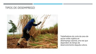 TIPOS DE DESEMPREGO
Trabalhadores do corte da cana-de-
açúcar estão sujeitos ao
desemprego sazonal, uma vez que
dependem do tempo de
desenvolvimento daquela cultura.
 