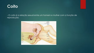 Coito
- O coito é a relação sexual entre um homem e mulher com a função de
reprodução.
 