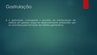 Gastrulação
 A gástrulação compreende o processo de transfomarção da
blástula em gástrula, etapa do desenvolvimento embrionário que
se caracteriza pela formação dos folhetos germinativos.
 