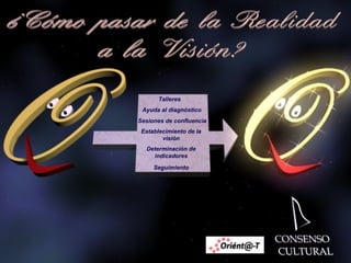 Establecimiento de la visión Talleres Sesiones de confluencia Ayuda al diagnóstico Determinación de indicadores Seguimiento 