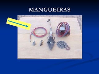 MANGUEIRAS 