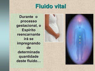 Fluido vitalDurante  o processo gestacional, o Espírito reencarnante  irá se impregnando de determinada quantidade deste fluido…