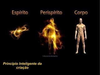 Principio Inteligente da
criação
 