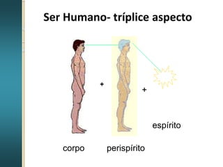 +
+
corpo perispírito
espírito
Ser Humano- tríplice aspecto
 