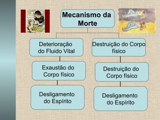 Exaustão do  Corpo físico Desligamento  do Espírito Destruição do  Corpo físico Desligamento  do Espírito Mecanismo da  Morte Deterioração  do Fluido Vital Destruição do Corpo físico 