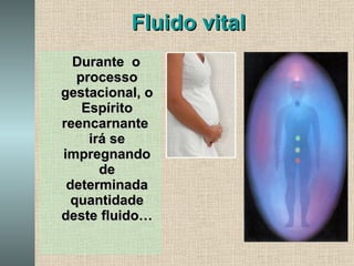 Fluido vital Durante  o processo gestacional, o Espírito reencarnante  irá se impregnando de determinada quantidade deste fluido… 