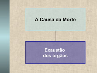 A Causa da Morte Exaustão  dos órgãos 