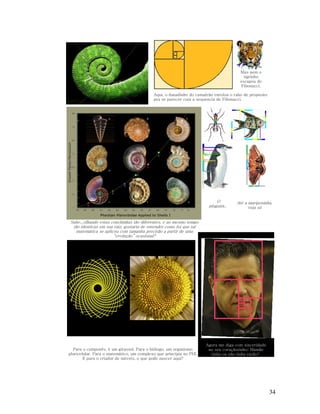 Mas nem o
tigrinho
escapou de
Fibonacci.
Aqui, o danadinho do camaleão enrolou o rabo de propósito
pra se parecer com a sequencia de Fibonacci.

O
pinguim..

Até a mariposinha,
veja só

Sabe...olhando estas conchinhas tão diferentes, e ao mesmo tempo
tão identicas em sua raiz, gostaria de entender como foi que tal
matemática se aplicou com tamanha precisão a partir de uma
“evolução” ocasional?

Para o camponês, é um girassol. Para o biólogo, um organismo
pluricelular. Para o matemático, um complexo que principia no PHI.
E para o criador de móveis, o que pode nascer aqui?

Agora me diga com sinceridade
no seu coraçãozinho: Mamãe
tinha ou não tinha razão?

34

 