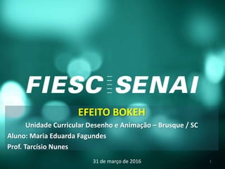 EFEITO BOKEH
Unidade Curricular Desenho e Animação – Brusque / SC
Aluno: Maria Eduarda Fagundes
Prof. Tarcísio Nunes
31 de março de 2016 1
 