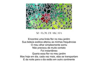 50 - Flor de Arcata
Encontrei uma linda flor no meu jardim
Sua beleza exótica alterou as minhas frequências
O meu olhar simplesmente sorriu
Não precisou de muito contato
Foi instantâneo
Queria essa flor no meu jardim
Mas hoje em dia, cada vez mais, elas se transportam
E da noite para o dia estão em outro continente

 