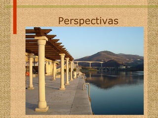 Perspectivas