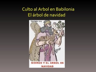 Culto al Arbol en Babilonia    El árbol de navidad 