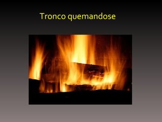Tronco quemandose 