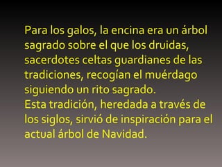 Para los galos, la encina era un árbol sagrado sobre el que los druidas, sacerdotes celtas guardianes de las tradiciones, recogían el muérdago siguiendo un rito sagrado. Esta tradición, heredada a través de los siglos, sirvió de inspiración para el actual árbol de Navidad.   