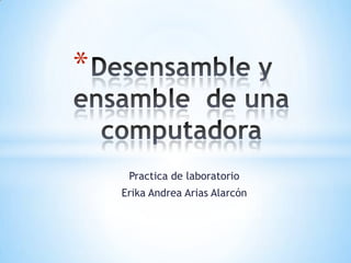 *

Practica de laboratorio
Erika Andrea Arias Alarcón

 