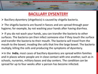  Bacillary dysentery (shigellosis) is caused by shigella bacteria.
 The shigella bacteria are found in faeces and are spread through poor
hygiene; for example, by not washing your hands after having diarrhea.
 If you do not wash your hands, you can transfer the bacteria to other
surfaces. The bacteria can then infect someone else if they touch the surface
and transfer the bacteria to their mouth. The bacteria will travel from the
mouth to the bowel, invading the cells that line the large bowel. The bacteria
multiply, killing the cells and producing the symptoms of dysentery.
In the India, most cases of bacillary dysentery are spread within families
and in places where people are in close contact with one another, such as in
schools, nurseries, military bases and day centers. The condition can be
spread for up to four weeks after a person has become infected.
BACILLARY DYSENTERY
 