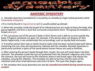  Amoebic dysentery (amoebiasis) is caused by an amoeba (a single-celled parasite) called
Entamoeba histolytica.
It is mainly found in tropical areas so it is usually picked up abroad.
 When the amoebas inside the bowel of an infected person are ready to leave the body, they
group together and form a shell that surrounds and protects them. This group of amoebas is
known as a cyst.
 The cyst passes out of the person's body in their faeces and is able to survive outside the
body. If hygiene standards are poor; for example, if the person does not dispose of their
faeces hygienically, it can contaminate the surroundings, such as nearby food and water.
 If another person then eats or drinks food or water that has been contaminated with faeces
containing the cyst, they will also become infected with the amoeba. Amoebic dysentery is
particularly common in parts of the world where human faeces are used as fertiliser.
 After entering the person's body through their mouth, the cyst will travel down into their
stomach. The amoebas inside the cyst are protected from the stomach's digestive acid. From
the stomach, the cyst will travel to the intestines where it will break open and release the
amoebas, causing the infection. The amoebas are able to burrow into the walls of the
intestines and cause small abscesses and ulcers to form. The cycle then begins again.
 The amoebas that cause dysentery can also be sexually transmitted during mouth-to-anus
contact.
AMOEBIC DYSENTERY
 