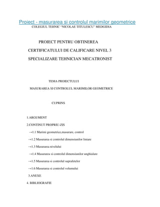 Desent tehnic util | PDF
