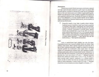 'Ci
..:
~
o;;;.
'Ci
OI
CI
OC()
::1
==
-"3
c::<3)
/r. >- '-< .....1 .....: ;;,;:,lt7iJ'f;:;;;·+~'2:.i<tH#:f~~I~'~r;~ }< ,~ . ;;
Vl
<3)
el
I
f
I
I
I
1- 50
,Dimensiunea
Dimensiunea exactă il fiecărui personaj se calculează cu ajutorul
unei rigle, după indicaţiile menţionate în grilă. Capul este măsurat fără
grosimea părului, trunchiul se măsoară de la umăr (sau de lajumătatea
dintre cei doi umeri dacă aceştia sunt la înălţimi inegale) până la gambe,
Braţele sunt măsurate de la umăr la degete şi gambele de la punctul de
unire a gambelor până la picioare. Remarcăm că Fran90is, în vârstă de 5
ani şi 4 luni (desenul 2), a executat membrii familiei sale de înălţimi
diferite, având grijă să-şi deseneze fratele mai mic, mai mic decât ea, şi
tatăl mai mare decât mama.
•
Linia
Proporţiile trunchi şi cap, braţe şi gambe trebuie indicate,
împărţind succesiv trunchiul cu capul, apoi braţele şi gambele
cu trunchiul. Dacă există o disproporţie între două membre,
calculul se face plecând dela media dimensiunii celor două
membre. Proporţia considerată ca normală pentru raportul
trunchi-cap se situează între 1,5 şi 2,4 cm, între 1,25 şi 2 cm
pentru raportul braţ-trunchi şi 0,75 şi 1,25 cm pentru raportul
gambe trunchi. Dacă proporţia se situează dincolo de aceste
cifre, ea trebuie încercuită pentru a fi apoi analizată. Un semn
va indica sensul raportului: ,,-" dacă raportul este mai mic
decât norma şi ,,+" dacă raportul este mai mare.
Linia se caracterizează după calităţile care reies din desen.
Examinatorul poate nota în special calităţile diferite ale liniilor. Poate
sublinia o linie anume, dacă o rubrică comportă mai multe linii, EI va
face în final o apreciere personală a bogăţiei sau sărăciei în realizarea
desenului plecând de la elementele culese asupra liniei. Un desen
realizat va fi remarcabil prin calitatea liniei, prin cantitatea de detalii,
utilizareajudicioasă a culorii şi minuţiozitatea lucrului. Subiectul se va
dovedi atent fără să fie obsesional, şi preocupat de aspectul estetic al
desenului său. Acest tip de desen va fi cotat ,,+". Desenul 4 prezintă
desenul bine elaborat de Andree-Anne, 9 ani şi Il luni. De altfel, un
desen executat rapid, respectiv compromis, cu o utilizare pripită a
culorii, de către un subiect mai mult sau mai puţin atent la sarcină, va
indica un desen neterminat, o ciornă. Acesta va fi cotat ,,-". Desenele
situate între un lucru minuţios şi un desen mâzgălitvor fi notate ,,+/-".
51
.,
Il
 